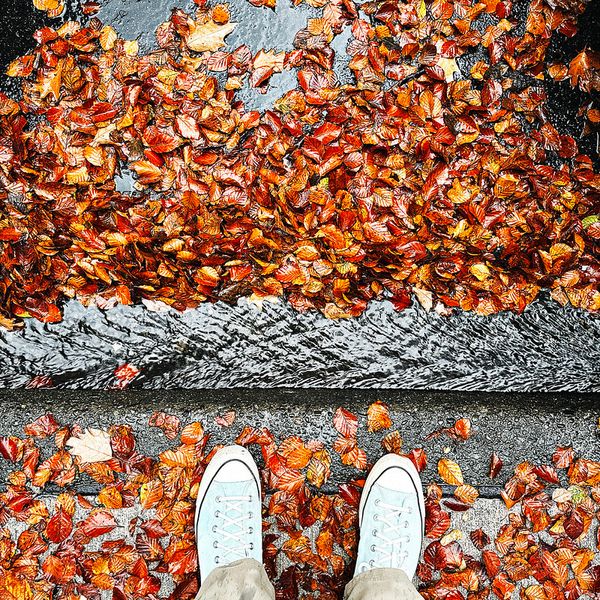 Photos of October 2025