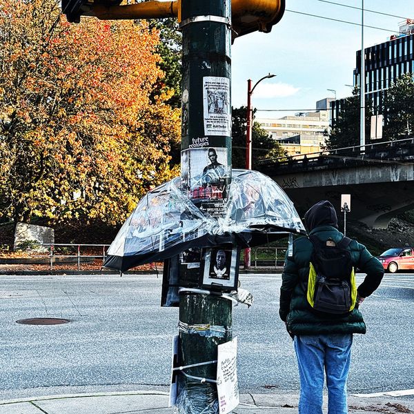 Photos of November 2025